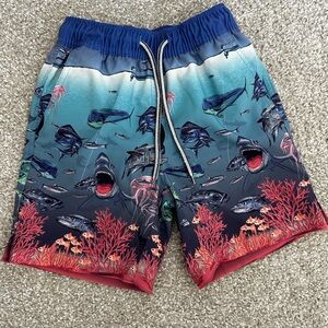 Peter Millar Swim Shorts